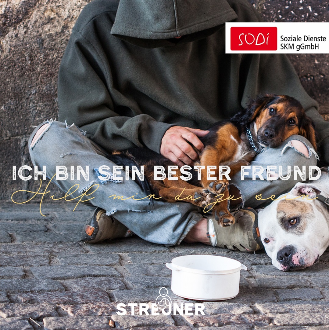 Soziale Dienste SKM gGmbH Streuner Anzeige