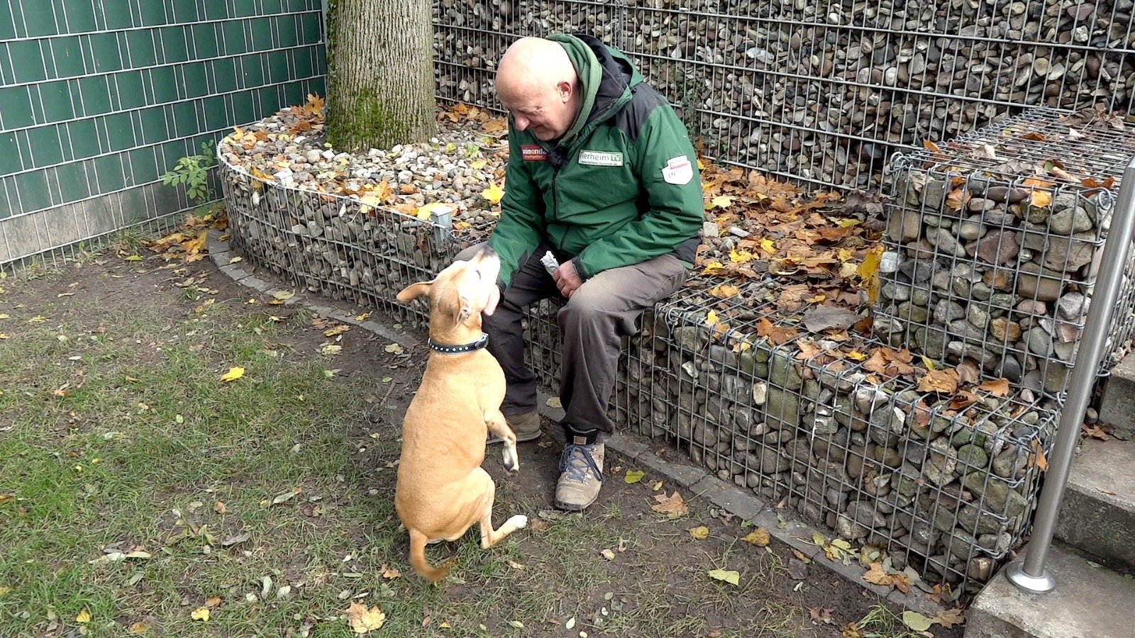 Pfleger spielt mit Hund