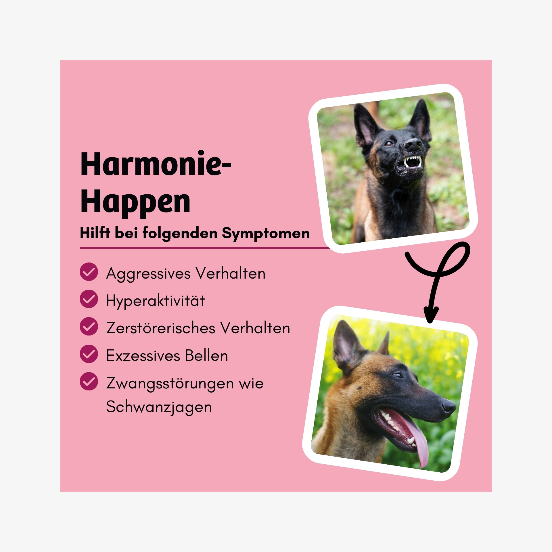03 Vorteile Happy