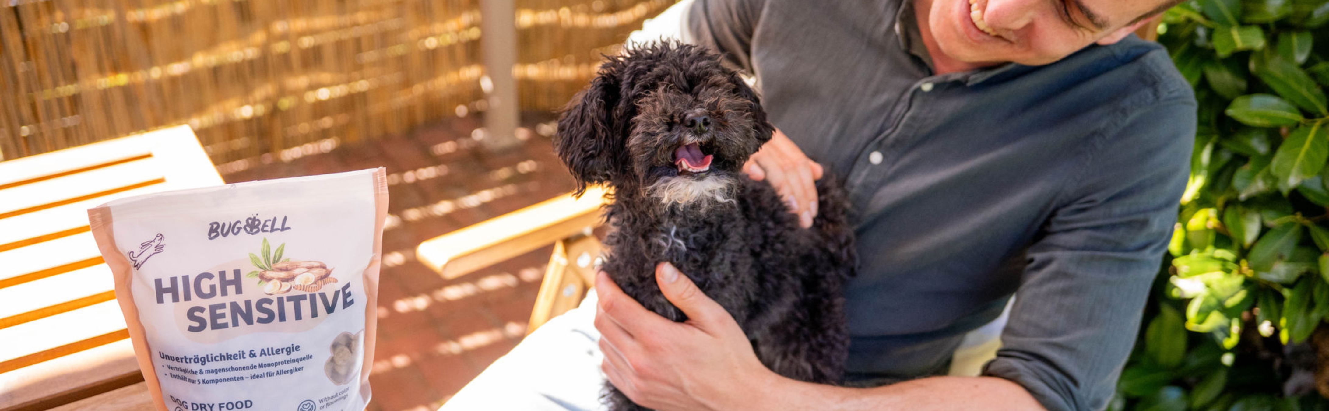 Hund sitzt auf Schoß
