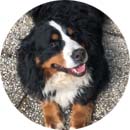 Foto von Mila